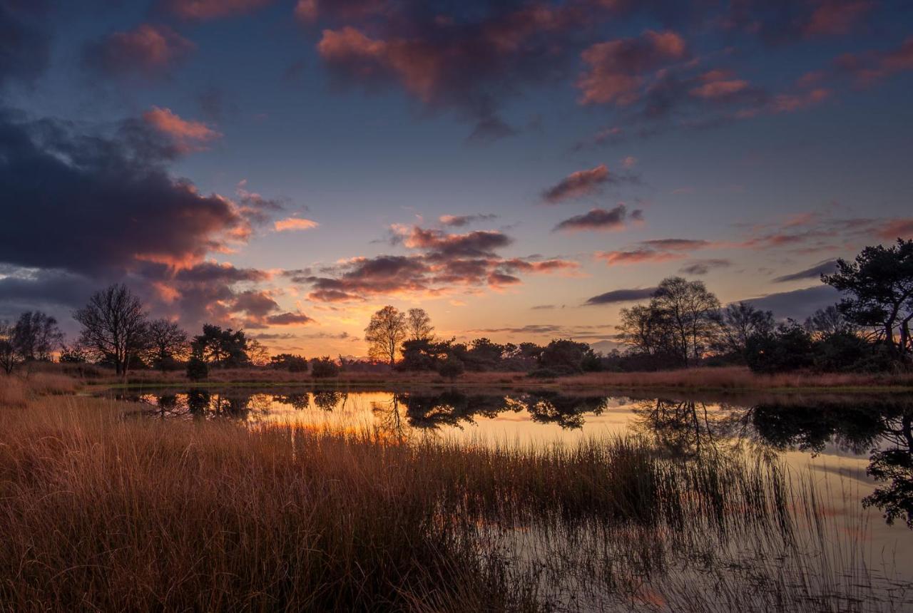 Kempenlodge, Luxe Boshuis Voor 8 Pers, In Brabantse Natuur Diessen Экстерьер фото