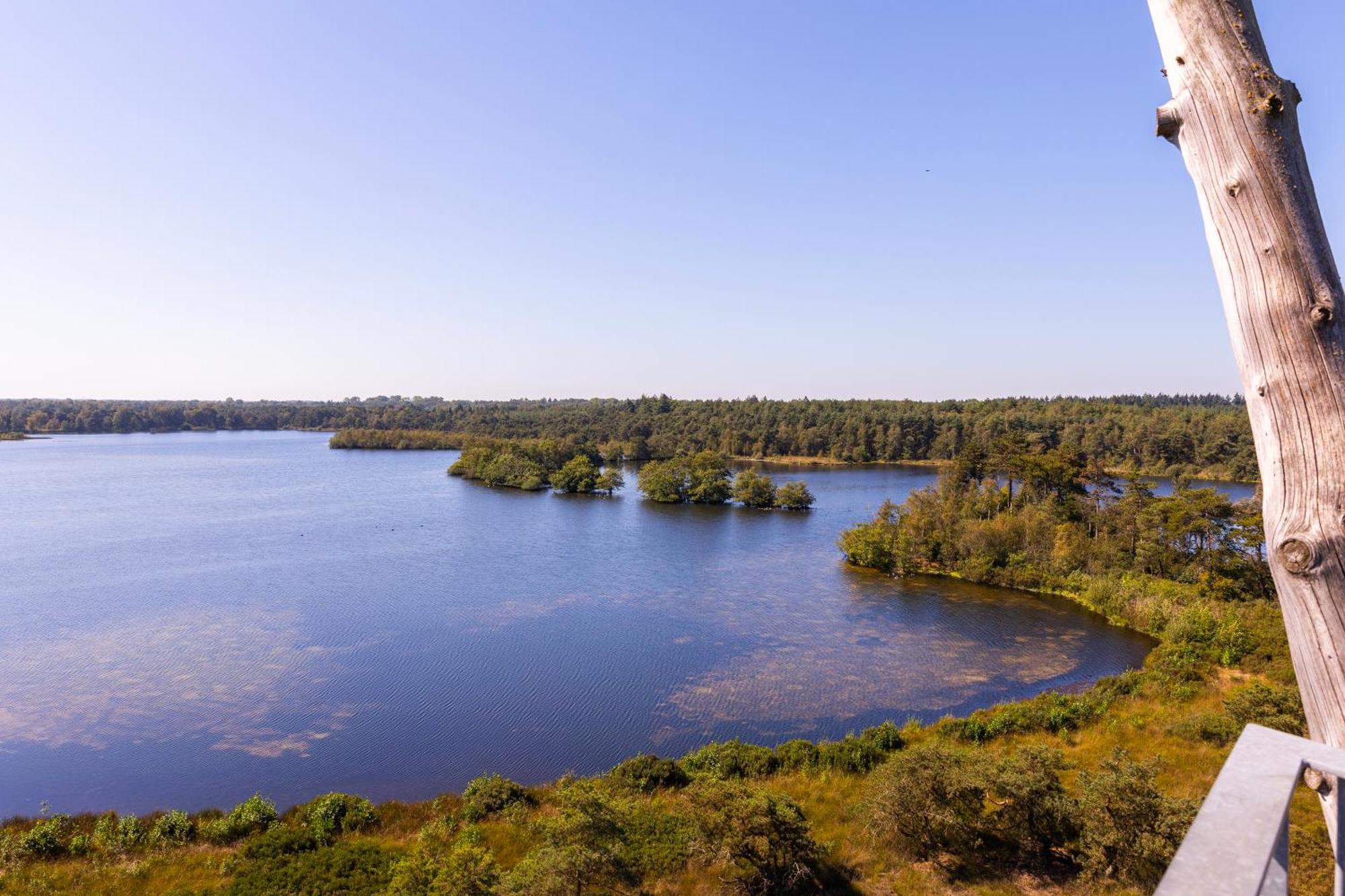 Kempenlodge, Luxe Boshuis Voor 8 Pers, In Brabantse Natuur Diessen Экстерьер фото